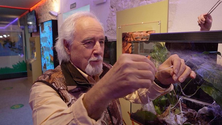 La tela de araña ha servido de inspiración para crear telas resistentes.