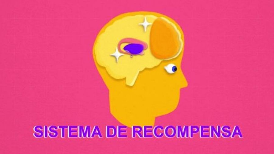 Ilustración del sistema de recompensa del cerebro