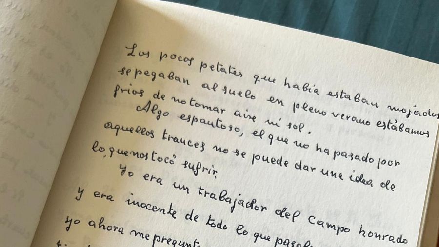 El diario de Gabriel