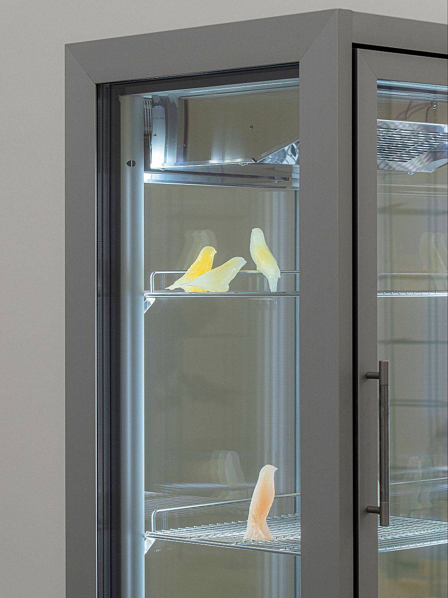 Vista exposición Generación 2026. Obra de Élan d’Orphium (2026)