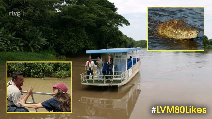 La Vuelta al Mundo en 80 Likes - Cocodrilos