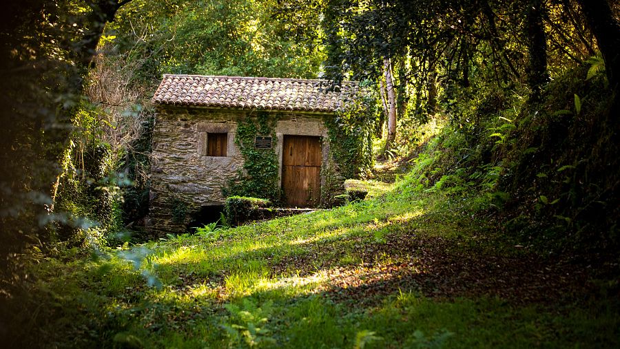 Un pequeño molino tradicional escondido entre la vegetación en la Ruta del Agua, ejemplo del patrimonio rural gallego.