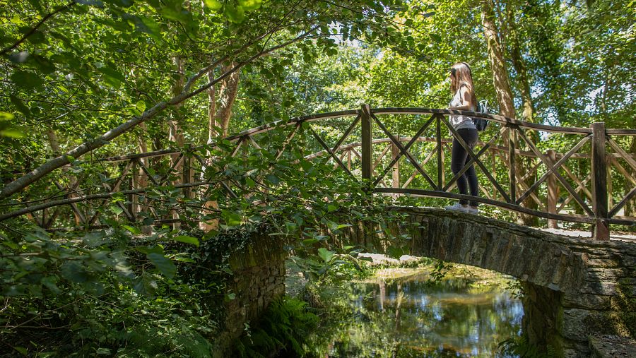 Pasarela de madera sobre un arroyo en un entorno natural, ideal para rutas tranquilas en plena naturaleza gallega