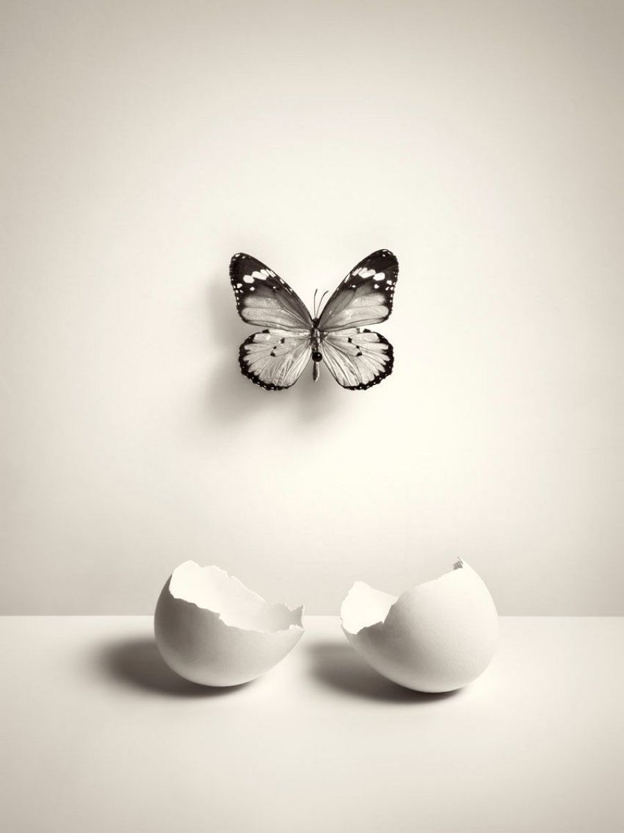 Chema Madoz en la Galería Elvira Rodríguez