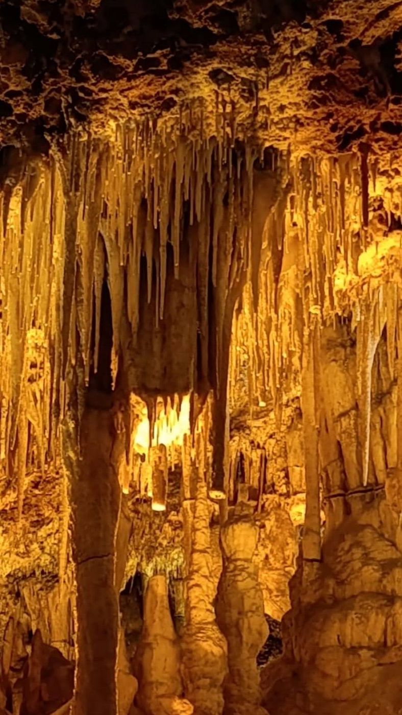 Cuevas dels Hams