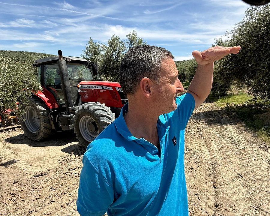 Manuel Jiménez observa sus olivares con su tractor de fondo con el que trabaja la tierra