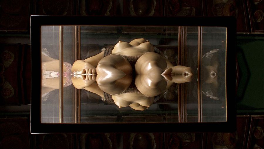 Petite anatomie de l’image (Olivier Smolders, 2010)