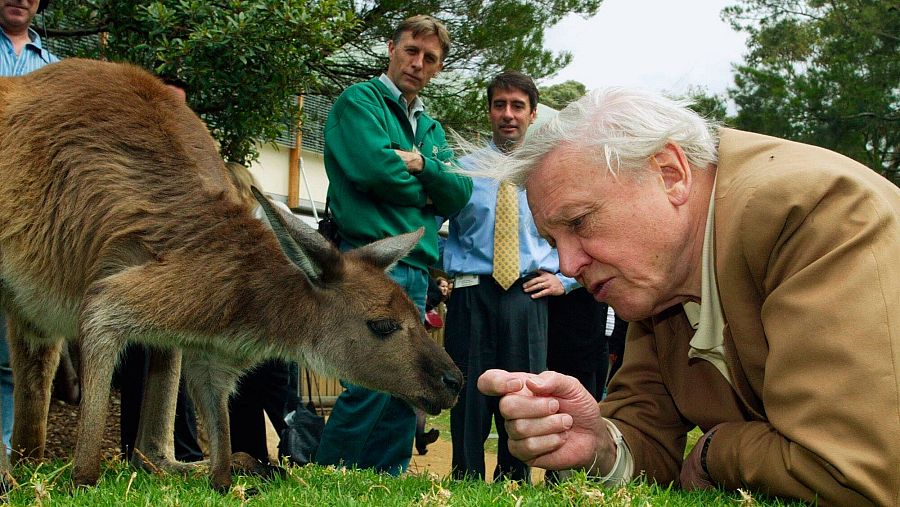 Sir David Attenborough cumple 100 años