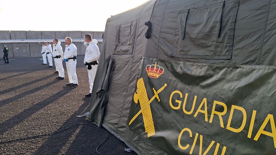 Miembros de las fuerzas de seguridad, en el puerto de Granadilla
