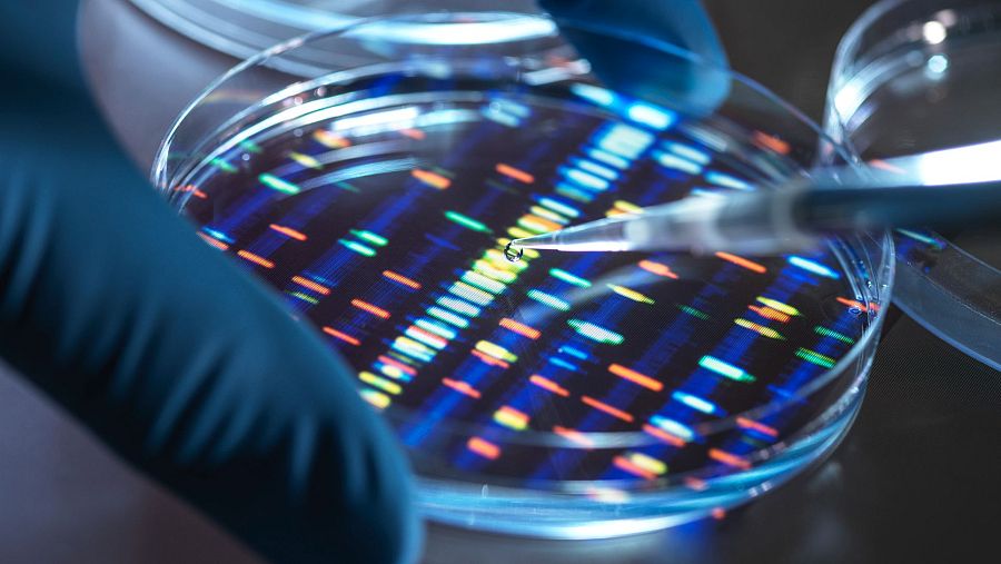 Primer plano de un experimento de secuenciación de ADN en laboratorio, con un patrón de bandas de colores vibrantes y una mano enguantada con micropipeta.