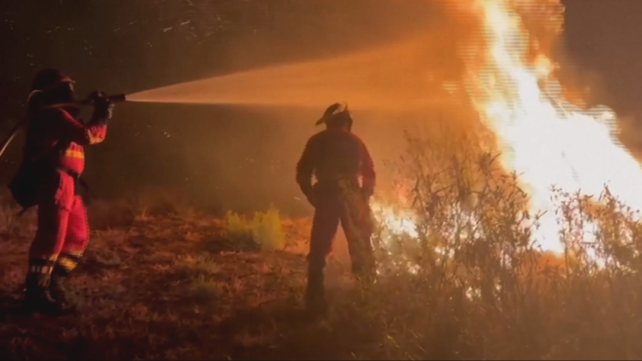 Bomberos trabajando durante el incendio en Molezuelas de Carballeda, Zamora, en agosto de 2025.