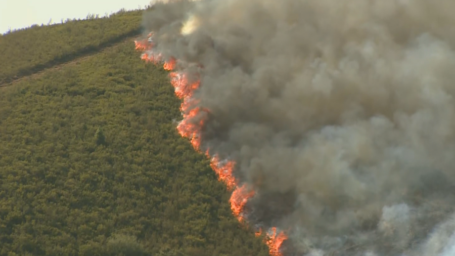 Frente del incendio en las provincias de Zamora y León durante el verano de 2025.