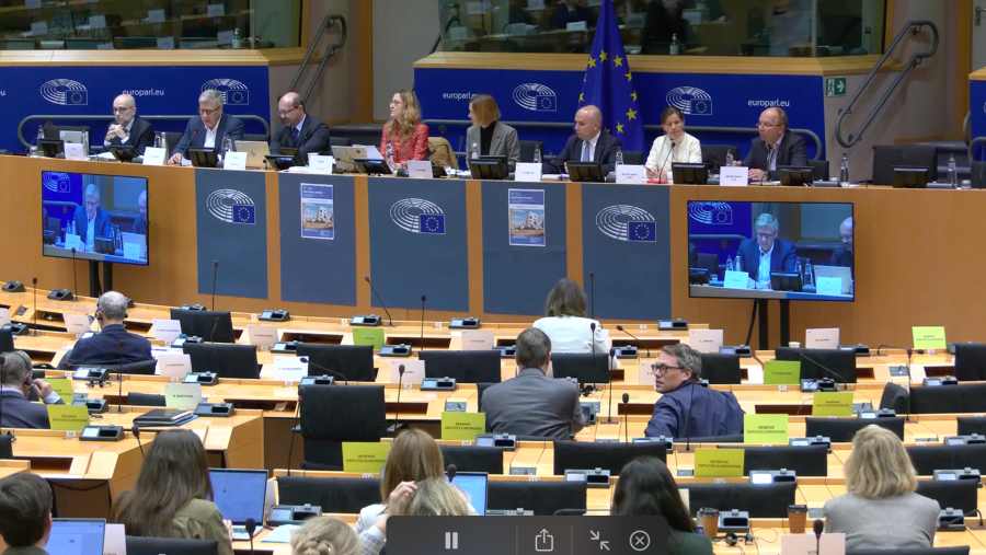 Comparecencia de Stop Destroying Games en el Parlamento Europeo