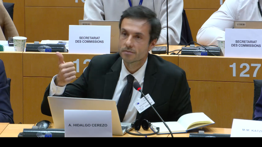 Comparencia del abogado Alberto Hidalgo en el Parlamento Europeo
