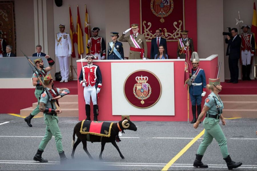 Desfile del Día de las Fuerzas Armadas 2026: Baraka, protagonista de cuatro patas