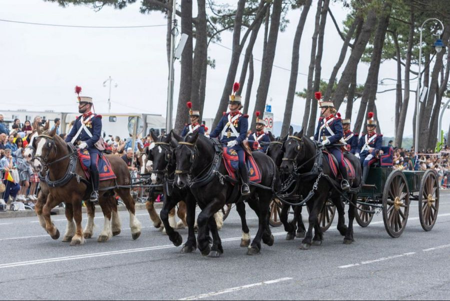 Día de las Fuerzas Armadas 2026: las imágenes del desfile militar en el que no se pudo izar la bandera