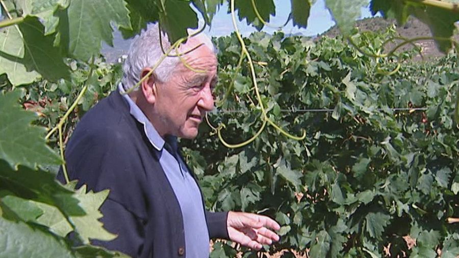Manuel Ruiz, toda una vida dedicado a investigar para entender el mundo del vino, desde el campo al laboratorio y Destaca la labor didáctica y la libertad que siempre tuvo en su trayectoria profesional en la Estación Enológica de Haro.