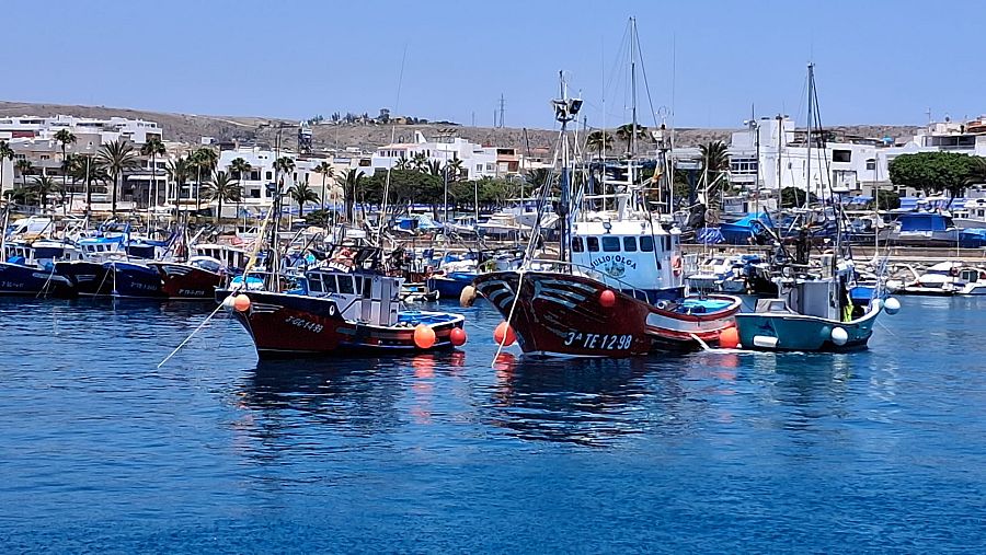 Parte de la flota pesquera de Arguineguín amarrada a puerto