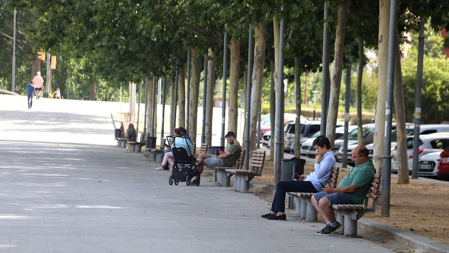 Personas disfrutan de la sombra de árboles en un paseo urbano soleado, absortos en sus dispositivos móviles y buscando descanso en un día caluroso.