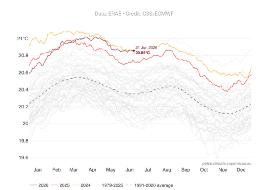 Temperatura diaria superficial del mar a escala global