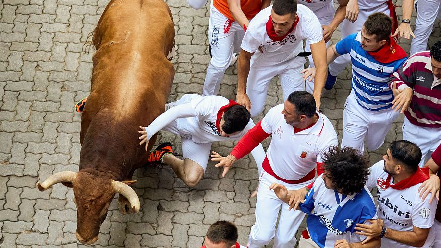 ¿Qué conductas están prohibidas ante los toros?