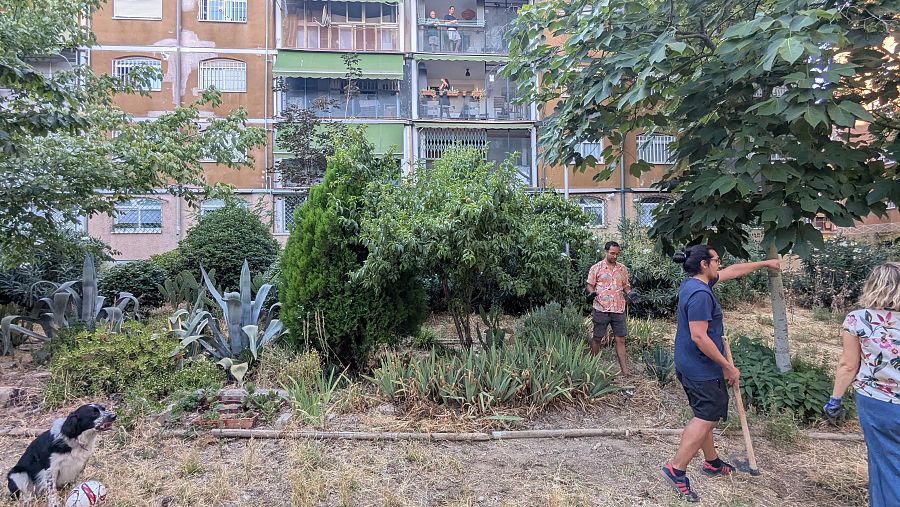 Reverdeciendo Jardines trabaja especialmente en los espacios interbloque, de titularidad poco clara