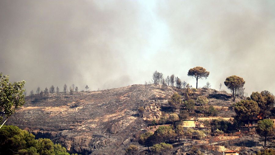 La zona cremada a La Torre de Claramunt, a l'Anoia