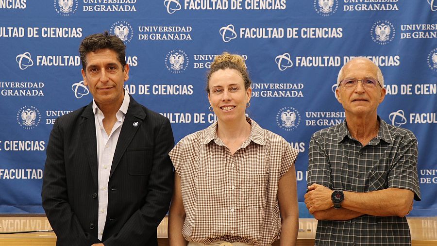 Los grandes aliados contra el cambio climático en las ciudades.
