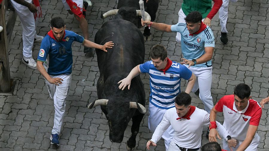 Tocar las reses puede conllevar una multa de hasta 6.000 euros