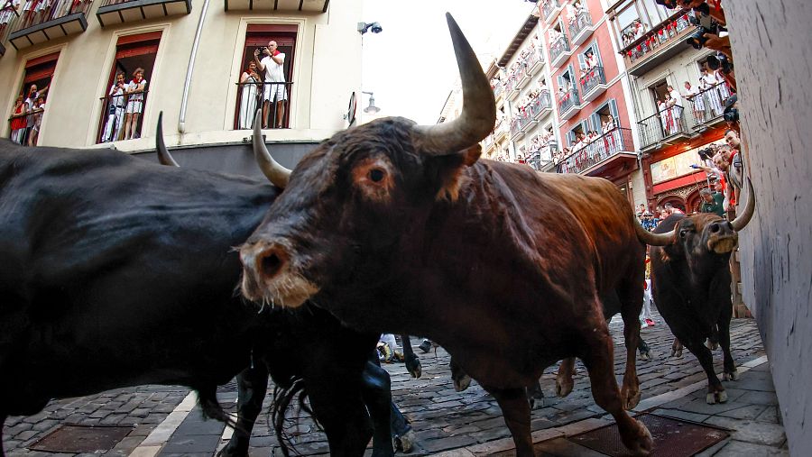 Uno de los toros de la ganadería de Victoriano del Río