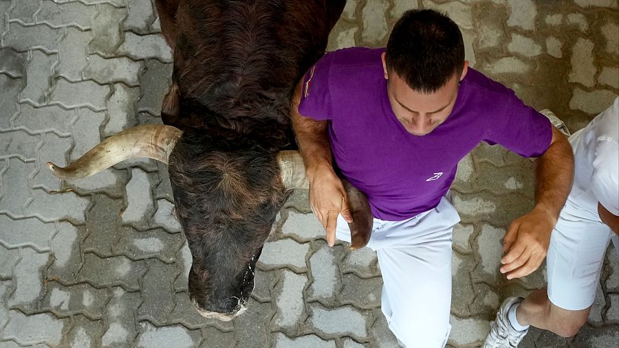 Uno de los mozos agarra al toro en el acceso a la plaza de toros
