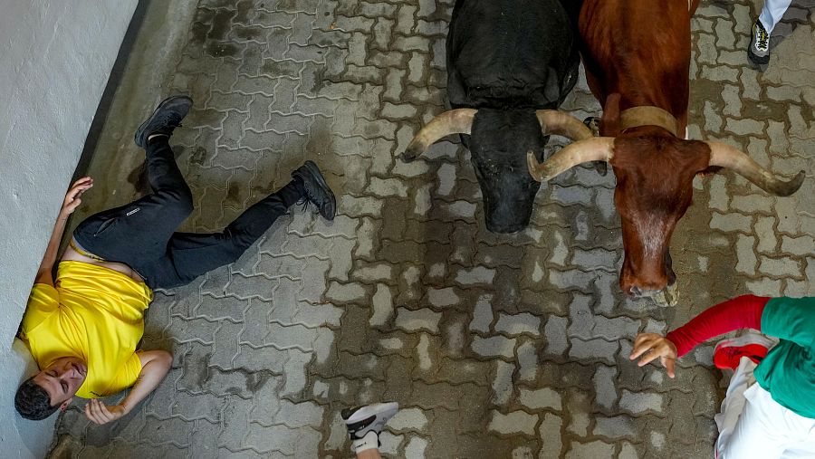 Uno de los toros se cae en el callejón de entrada a la plaza de toros