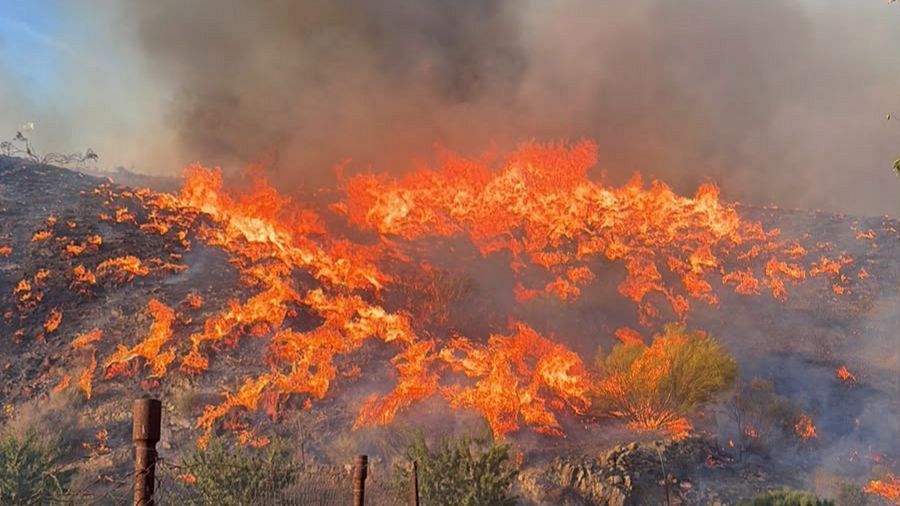 Incendio en el municipio almeriense de Los Gallardos