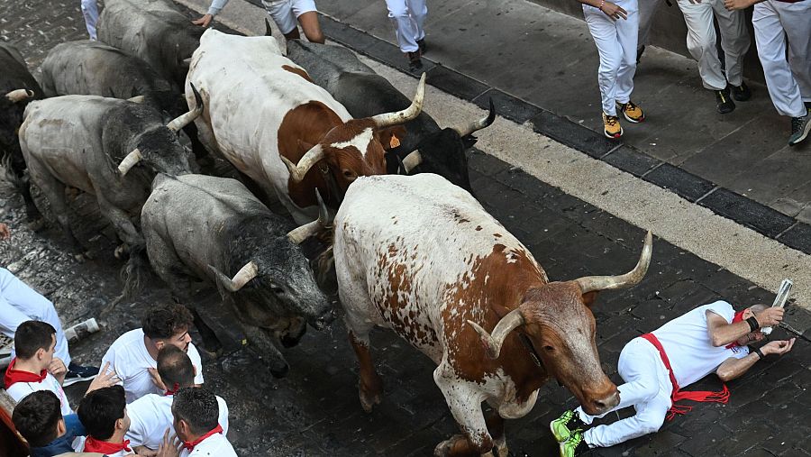 Los toros de José Escolar en el encierro de los Sanfermines de 2025