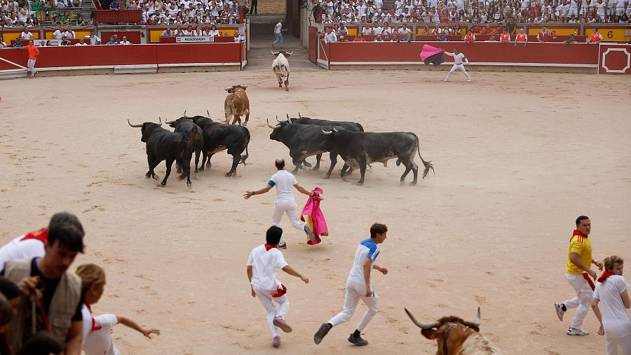 Los toros de la ganadería sevillana de Miura tras llegar este lunes a la plaza de toros de Pamplona