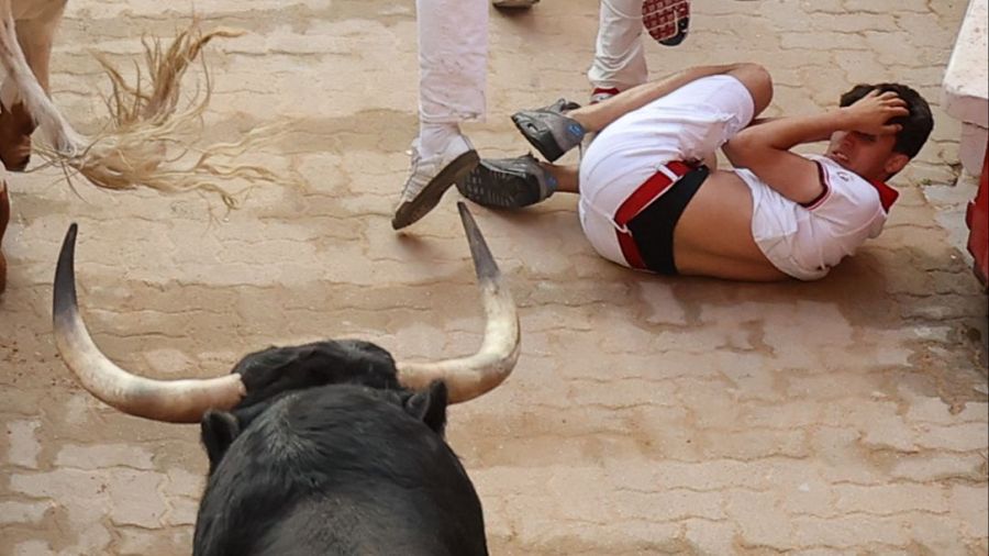 Uno de los astados de la ganadería de Jandilla pasa junto a un mozo que permanece en el suelo