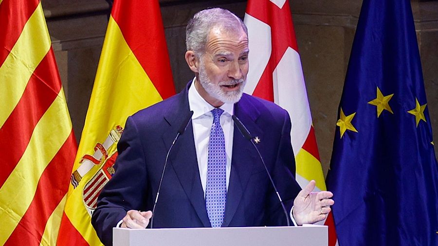 El rey en los Princesa de Girona
