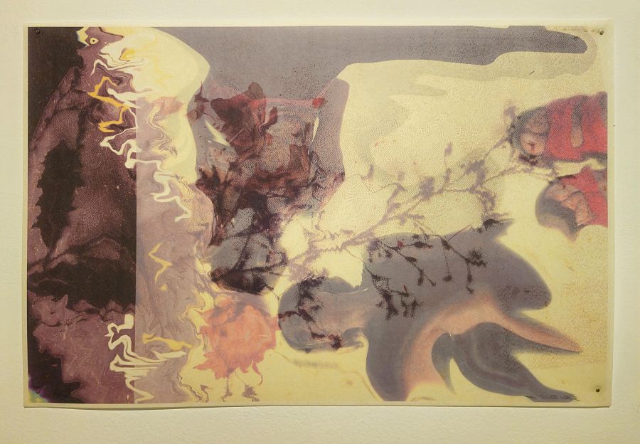 Ninfa Eco, 2001