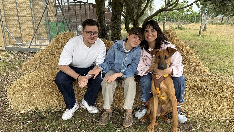 Una imagen de 'Dog house', del programa de ayer