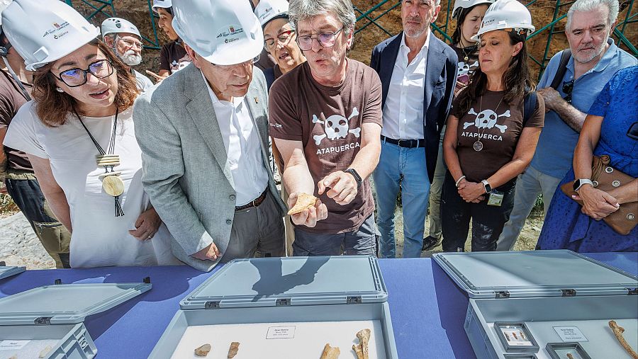 Encuentran 24 nuevos fósiles de Antecessor en Atapuerca