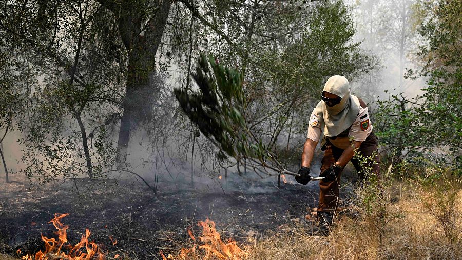 Efectivos de bomberos trabajan en Betxí (Castellón)
