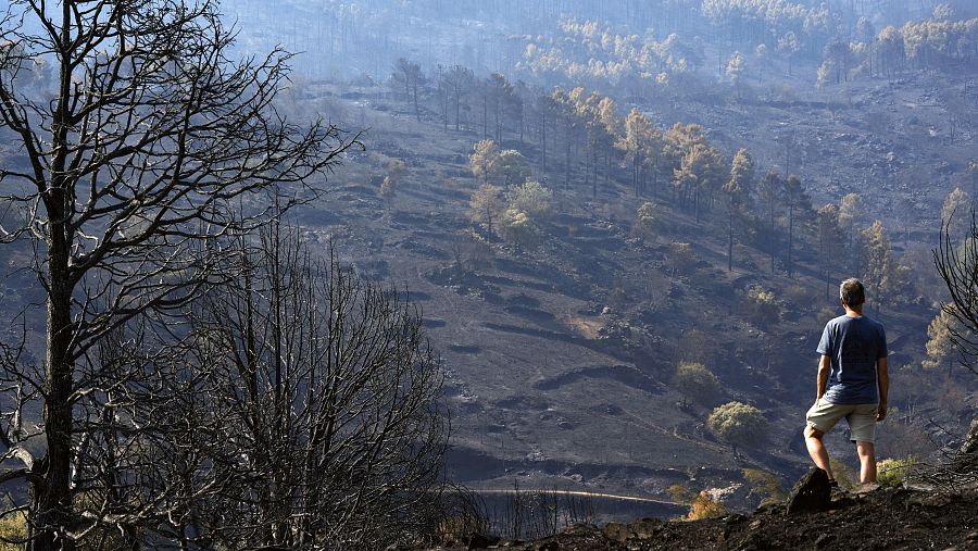 Incendio de Burgohondo en el parque natural del Valle de Iruelas.
