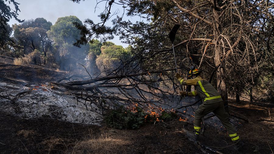 Incendio forestal en los alrededores del pantano de San Juan, en Madrid.