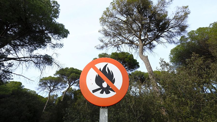 Señal de prohibido encender fuego en un pinar