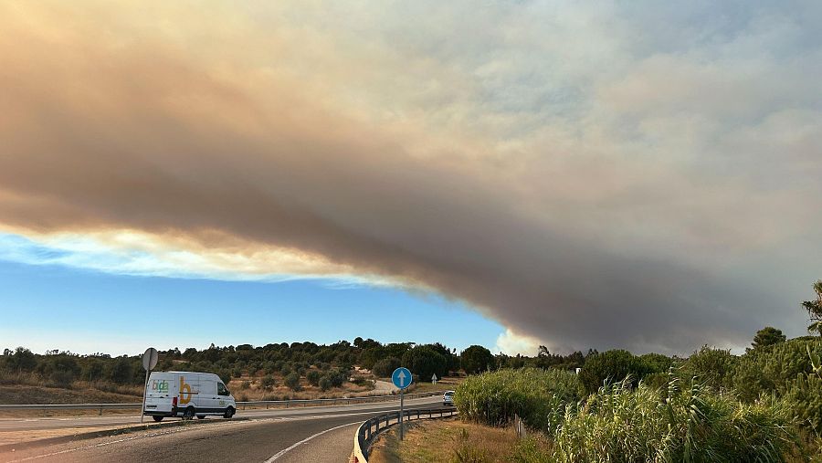 Incendio forestal que afecta a Niebla, en Huelva, que provoca una intensa columna de humo sobre las carreteras de la zona. EFE/Fermín Cabanillas