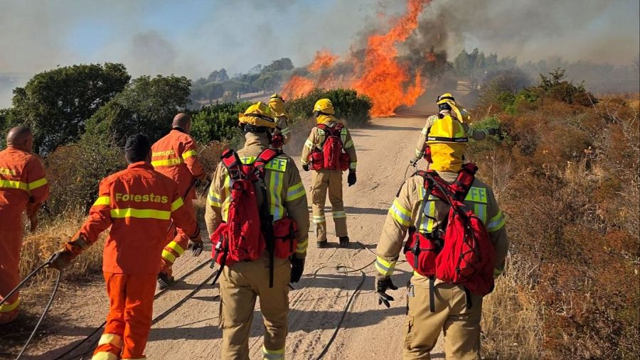 Un esfuerzo continental: cómo Europa une fuerzas para combatir los incendios forestales