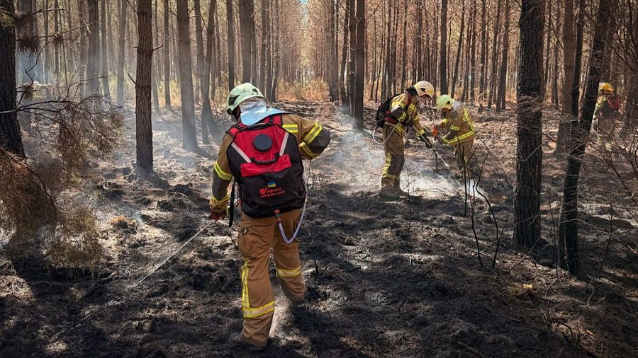 Un esfuerzo continental: cómo Europa une fuerzas para combatir los incendios forestales