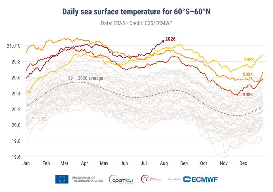 Temperatura de la superficie del mar diaria en los océanos mundiales, exceptuando los de los polos
