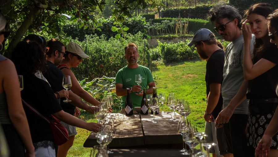 Cata de vinos al aire libre con un grupo de personas, guiada por un hombre con camiseta verde. Mesa rústica con copas y botellas de vino en un entorno natural.
