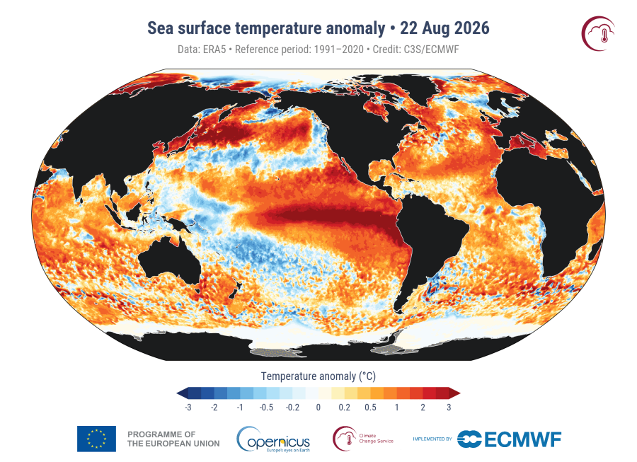 Anomalía de la temperatura de la superficie del mar, el 22 de agosto